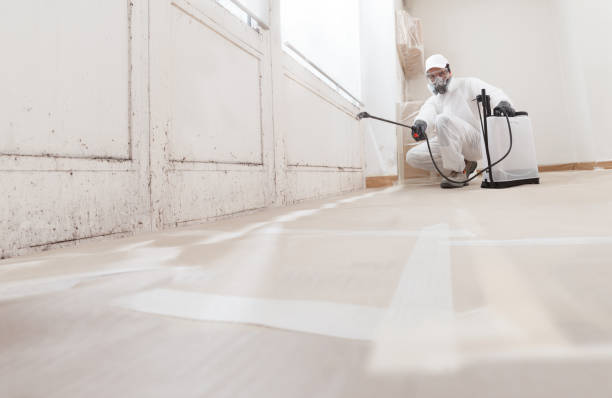 24/7 Emergency Basement Mold Remediation experts in Lawrenceville, IL